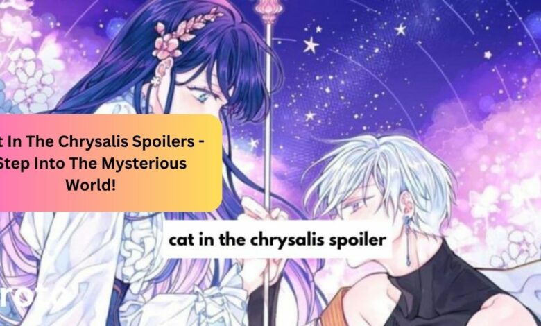 Cat In The Chrysalis Spoilers - Step Into The Mysterious World!